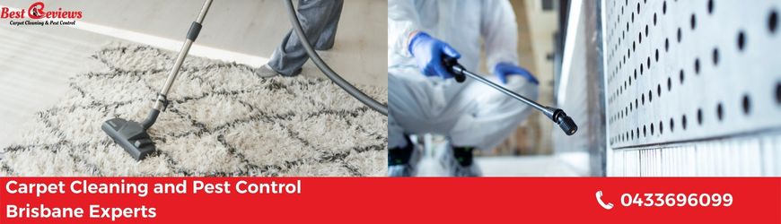Carpet Cleaning and Pest Control Brisbane Experts