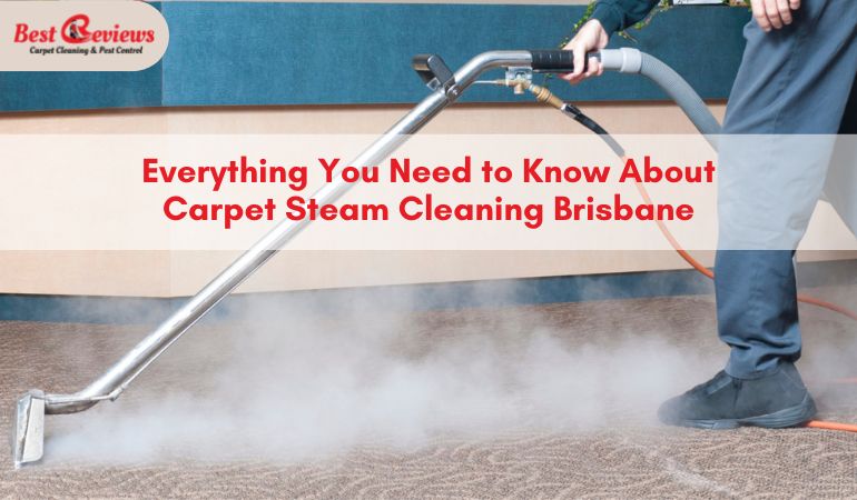 Everything You Need to Know About Carpet Steam Cleaning